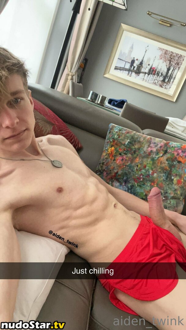 aiden_twink / platinumtwink Nude OnlyFans Leaked Photo #20