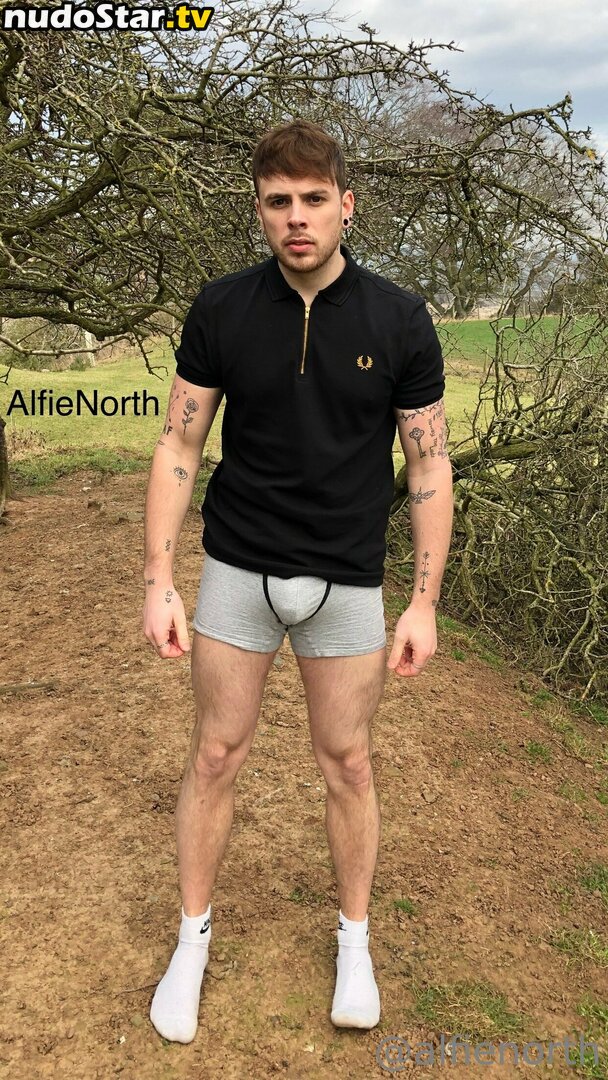 alfienorth / alfienorthfree Nude OnlyFans Leaked Photo #22