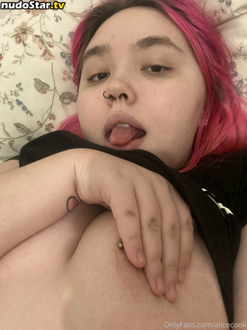 alicecook / alicecook_ Nude OnlyFans Leaked Photo #27