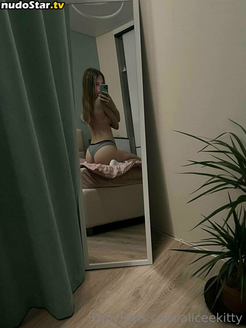 aliceekitty Nude OnlyFans Leaked Photo #13