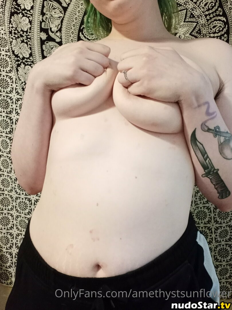 amethystsunflower Nude OnlyFans Leaked Photo #16