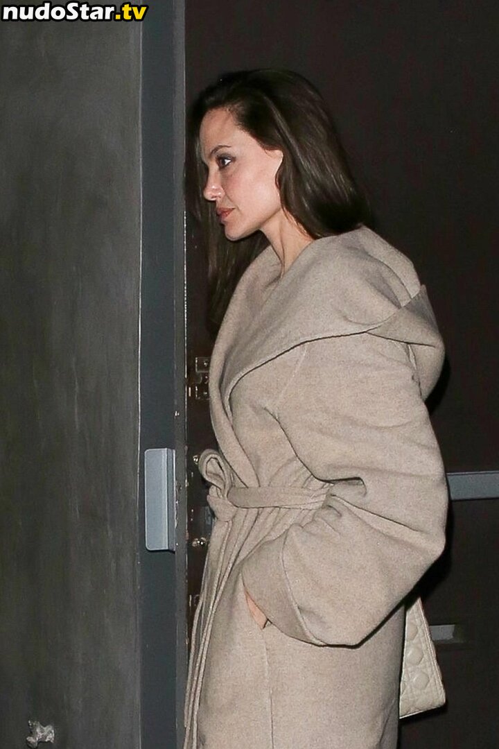 Angelina Jolie / angelinajolie Nude OnlyFans Leaked Photo #54