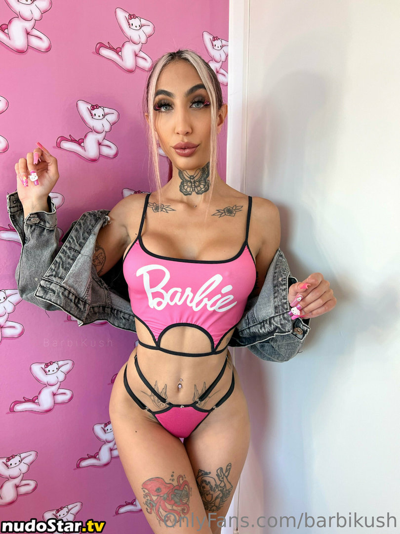 barbikush Nude OnlyFans Leaked Photo #24