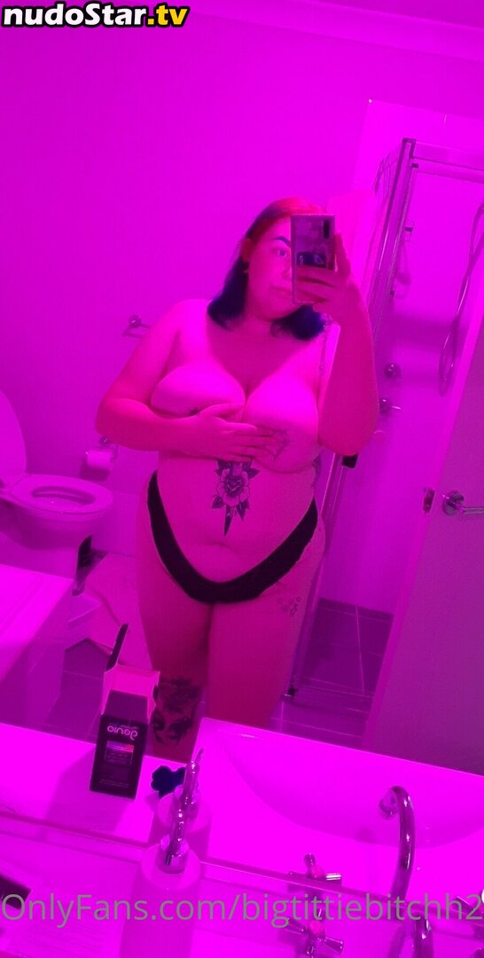 bigtittybitchh2 Nude OnlyFans Leaked Photo #19