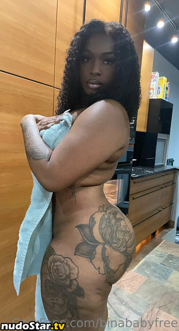 binababyfree / binaofficial Nude OnlyFans Leaked Photo #3