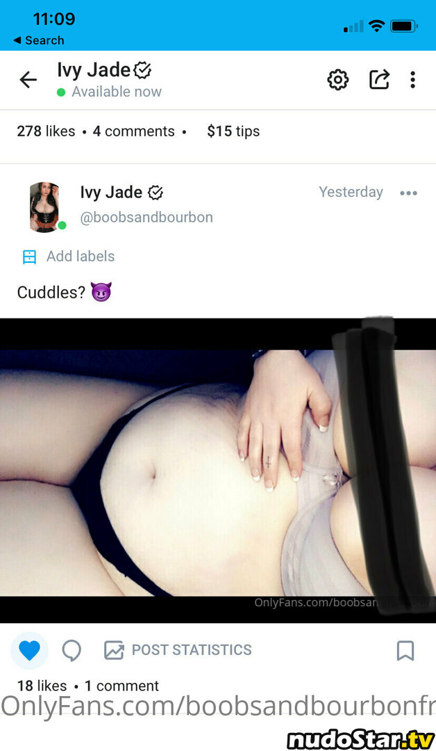 boobsandbourbonfree Nude OnlyFans Leaked Photo #12