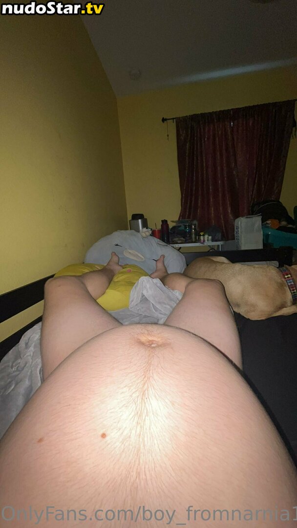 boy_friend / boy_fromnarnia1 Nude OnlyFans Leaked Photo #11