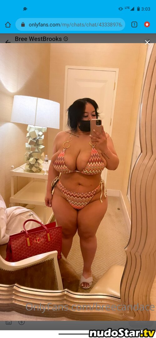 Bree westbrooks / breecandace Nude OnlyFans Leaked Photo #34