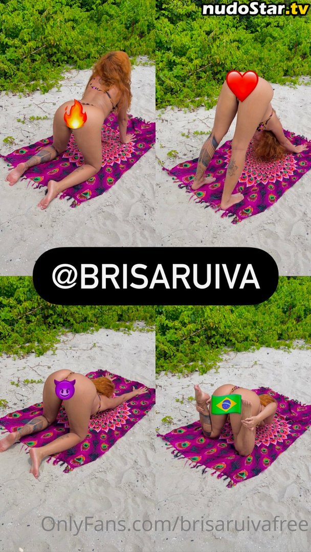 brisaruiva2 / brisaruivafree Nude OnlyFans Leaked Photo #1