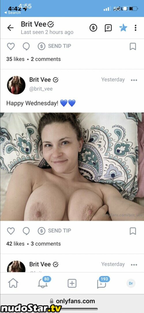 Brit_vee / britvee Nude OnlyFans Leaked Photo #2
