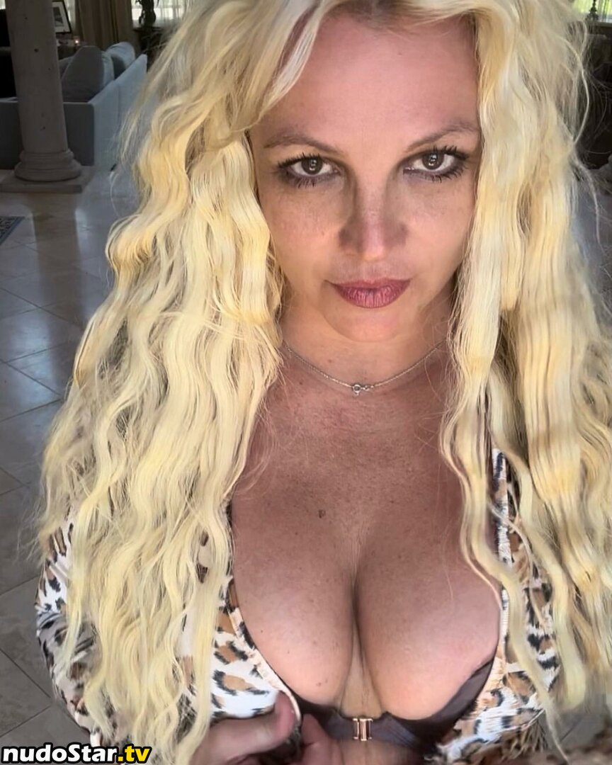 Britney Spears / britneyspears / xoxobritneyj Nude OnlyFans Leaked Photo #193