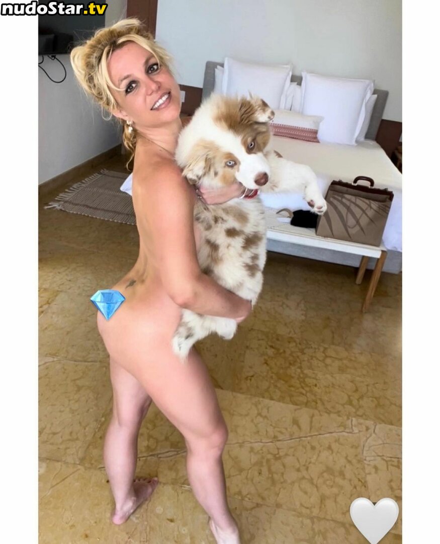 Britney Spears / britneyspears / xoxobritneyj Nude OnlyFans Leaked Photo #493