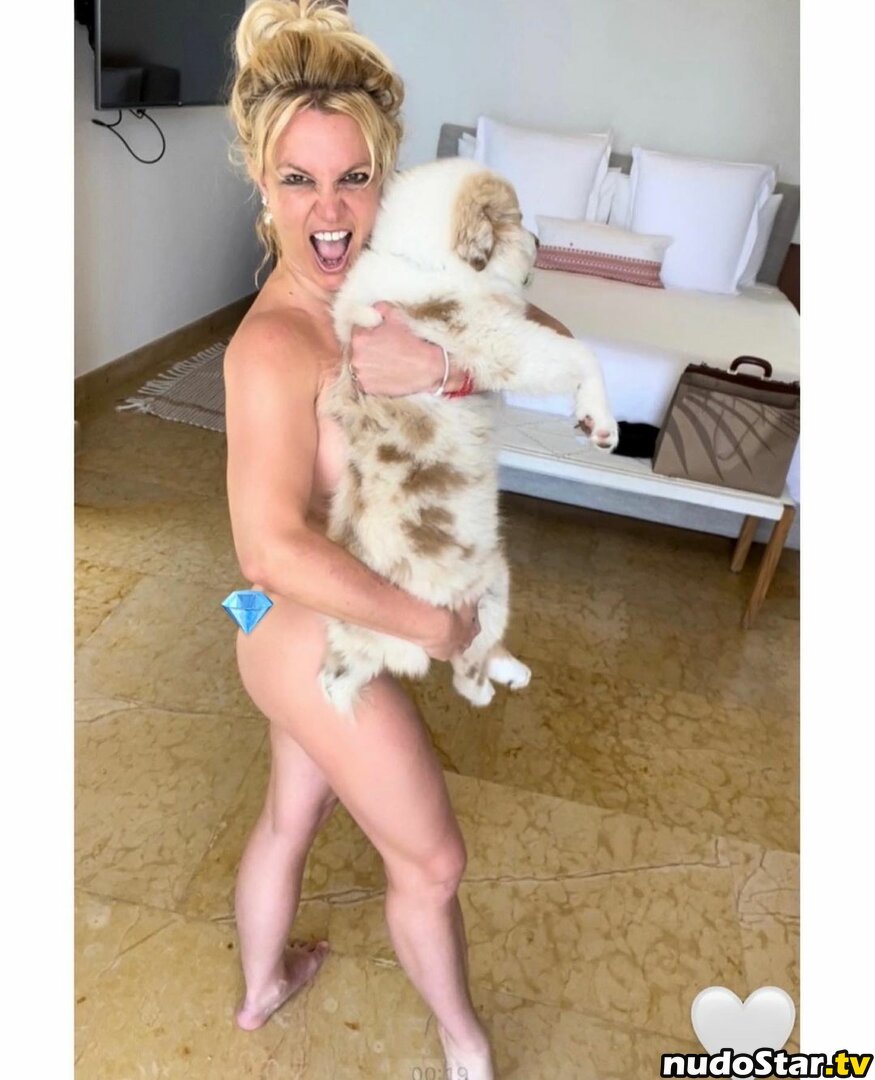 Britney Spears / britneyspears / xoxobritneyj Nude OnlyFans Leaked Photo #494