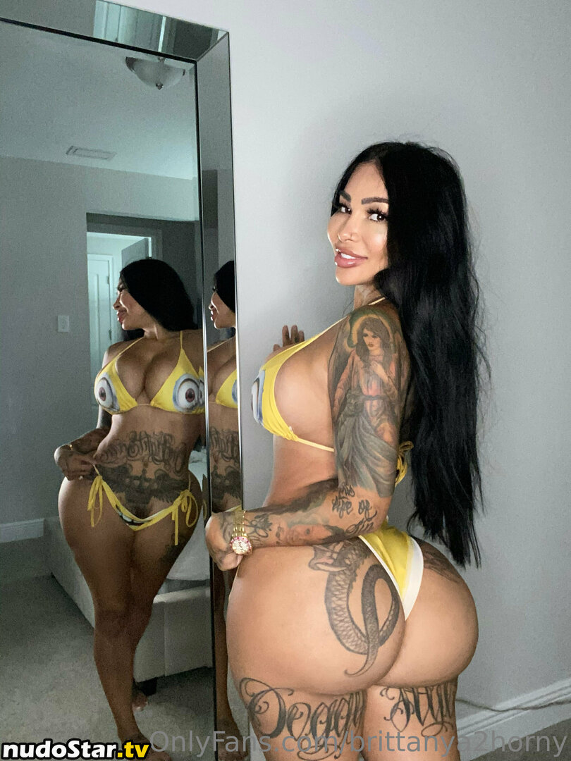 brittanya2horny Nude OnlyFans Leaked Photo #252
