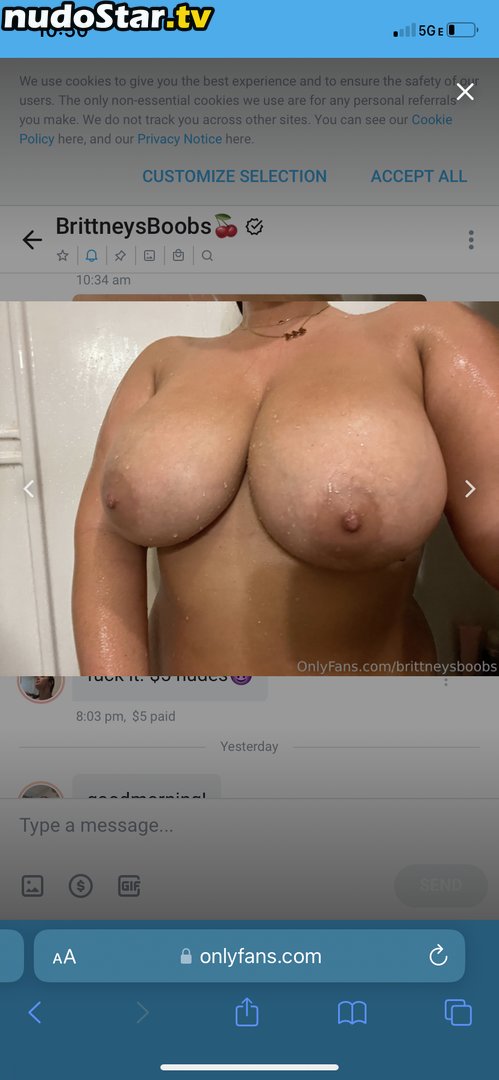 Brittney Todd / brittneymtodd31 / u34233053 Nude OnlyFans Leaked Photo #5