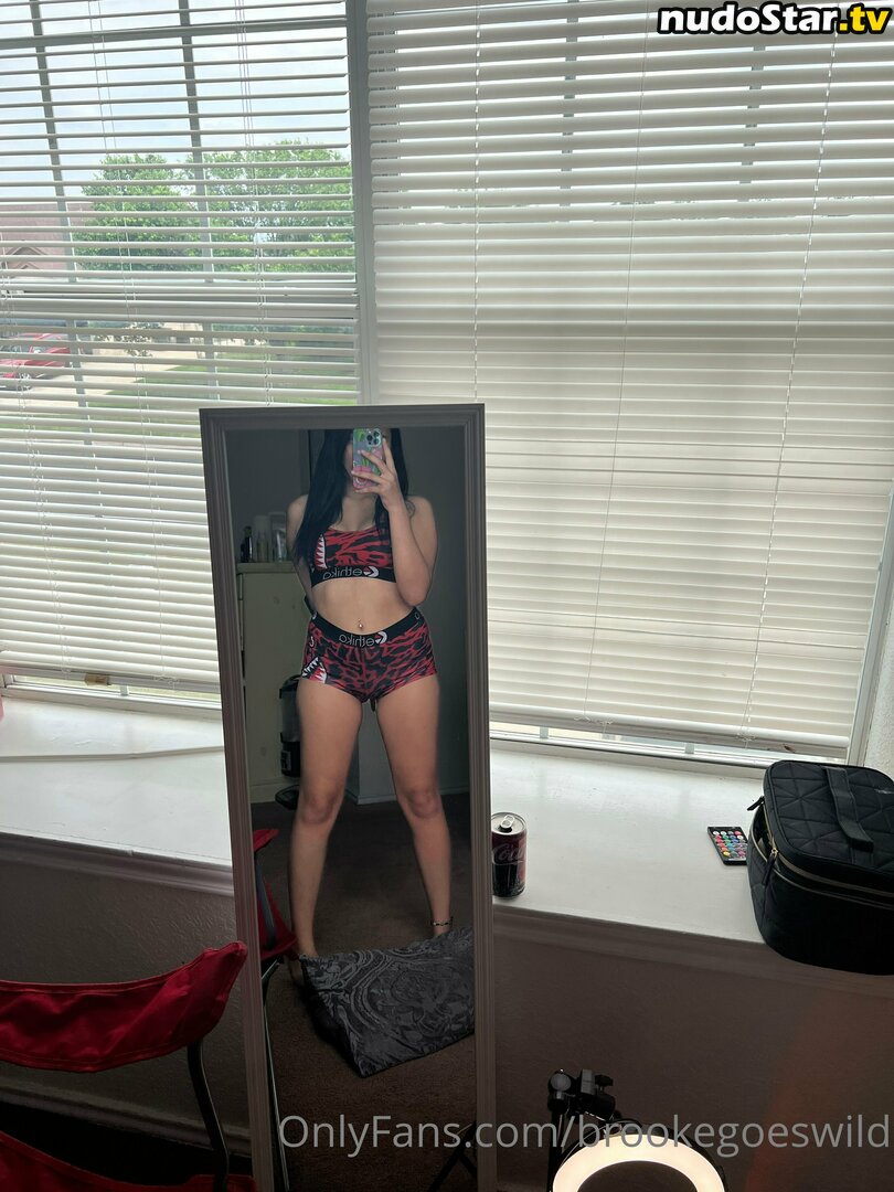 brookeashwheeler / brookegoeswild Nude OnlyFans Leaked Photo #58