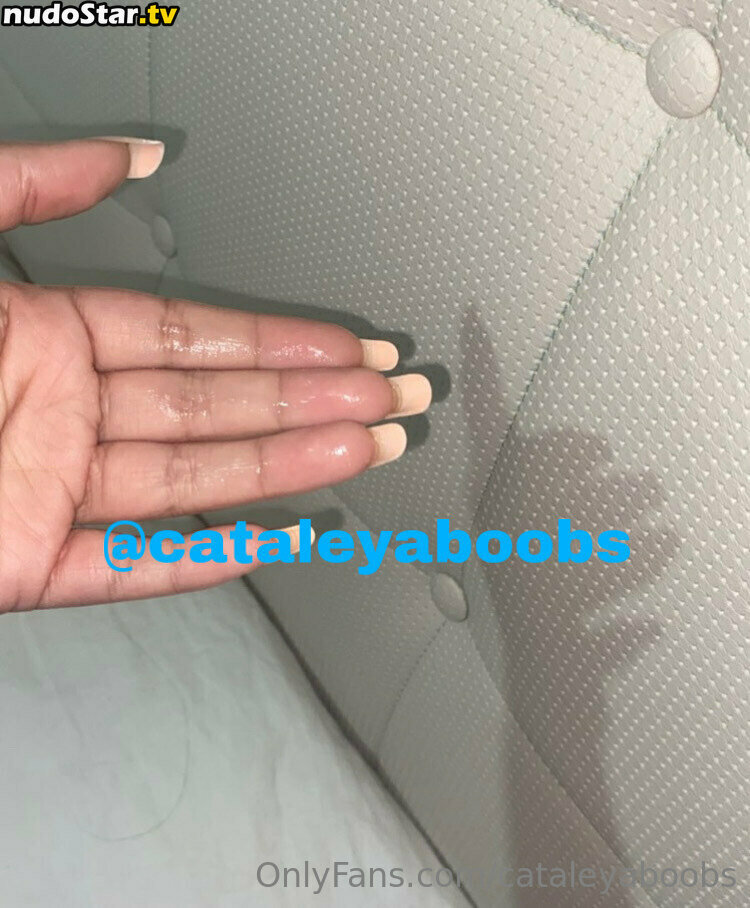 cataleyaboobs Nude OnlyFans Leaked Photo #2