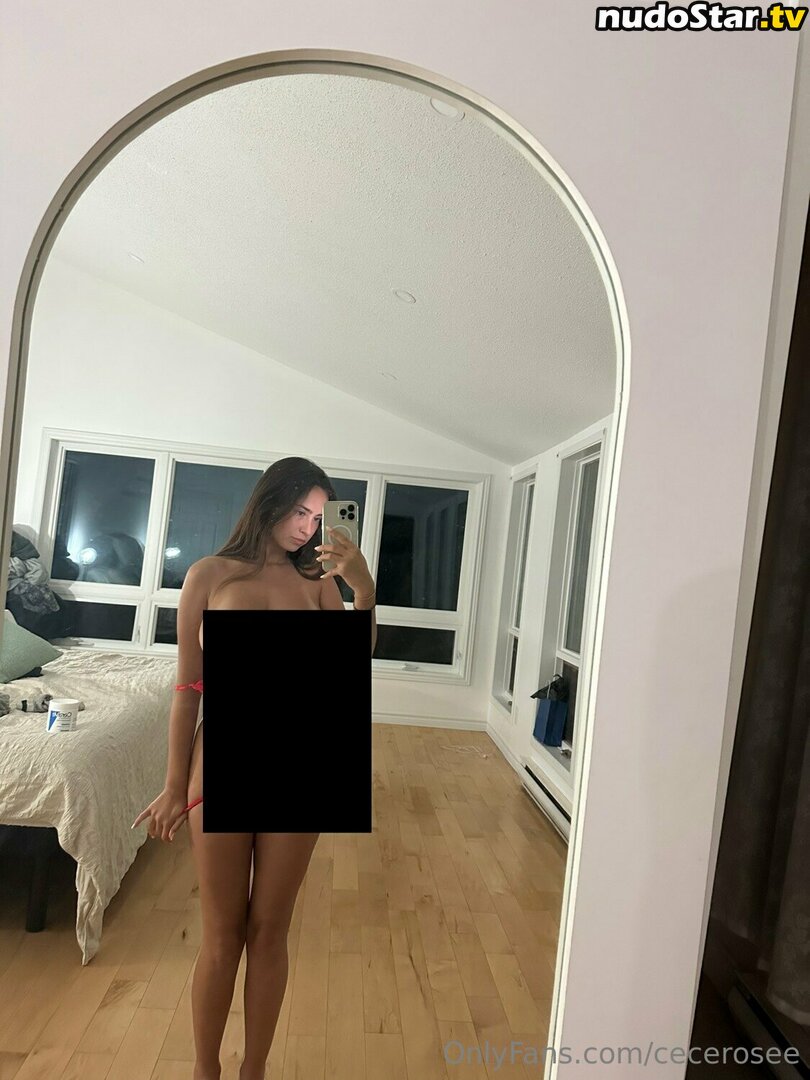 Cece Rose / Cecilia Rose / cece___rose / cece_rosee_ / cecerosee Nude OnlyFans Leaked Photo #334