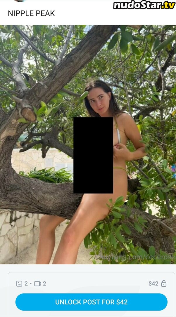 Cece Rose / Cecilia Rose / cece___rose / cece_rosee_ / cecerosee Nude OnlyFans Leaked Photo #755