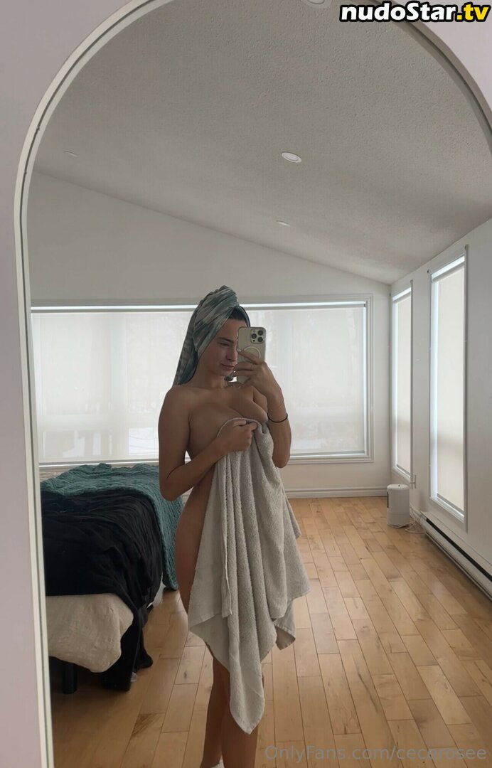 Cece Rose / Cecilia Rose / cece___rose / cece_rosee_ / cecerosee Nude OnlyFans Leaked Photo #844