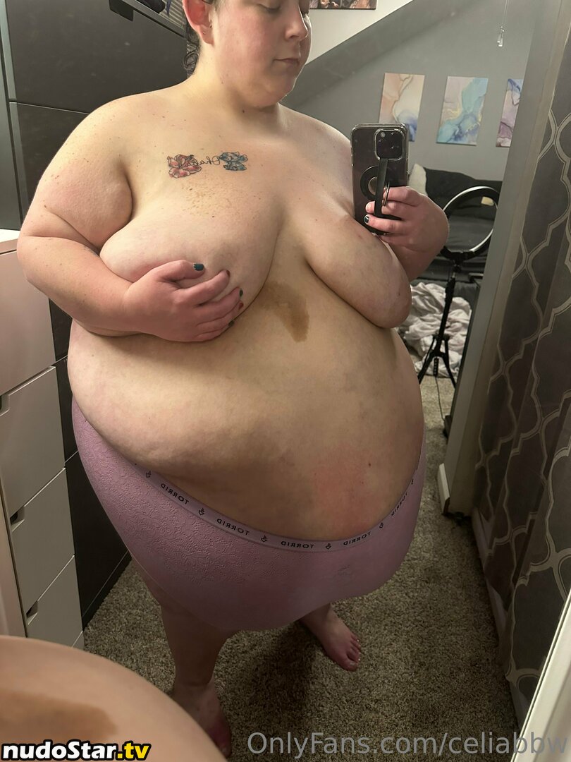 celiabbw Nude OnlyFans Leaked Photo #40