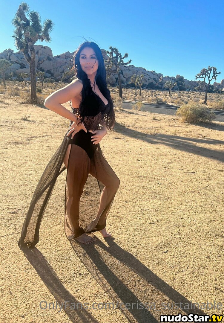 cerissa_sustainable Nude OnlyFans Leaked Photo #22