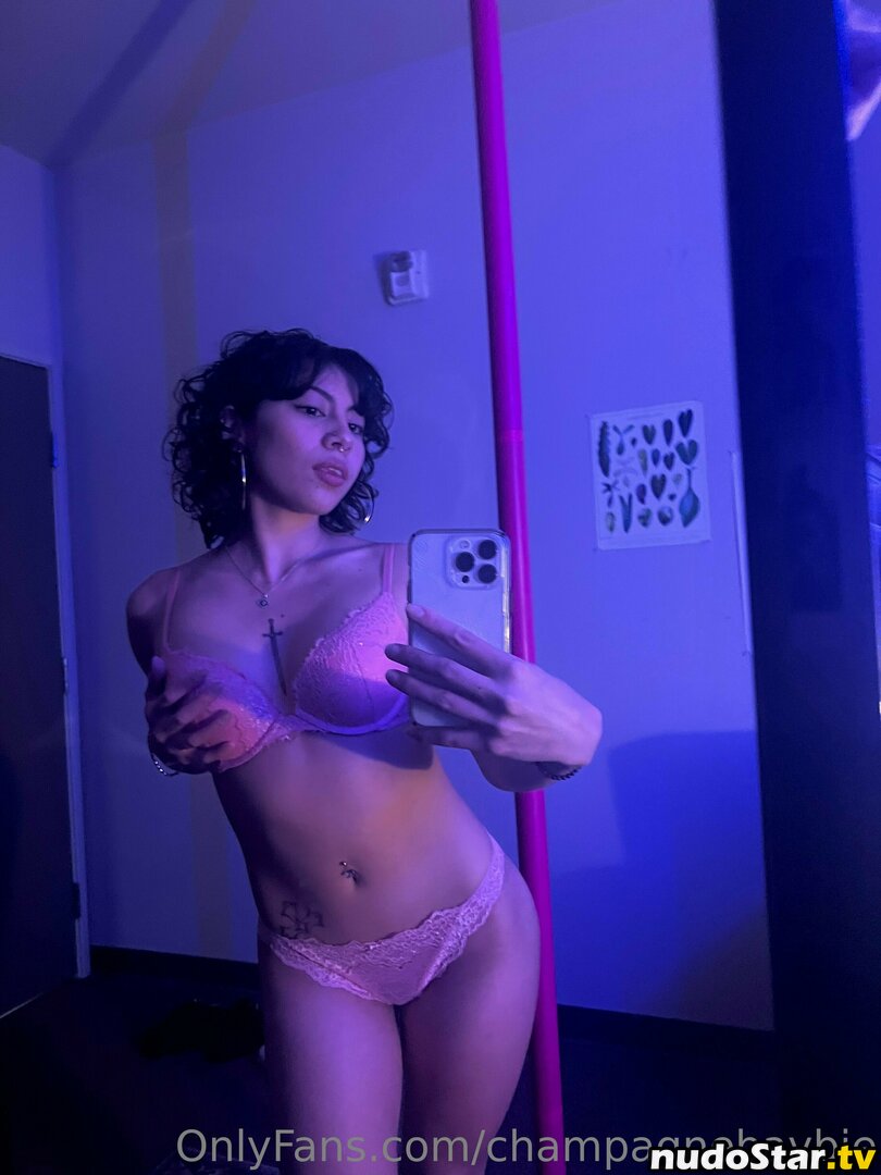 Digital Girl / champagnebaybie Nude OnlyFans Leaked Photo #33