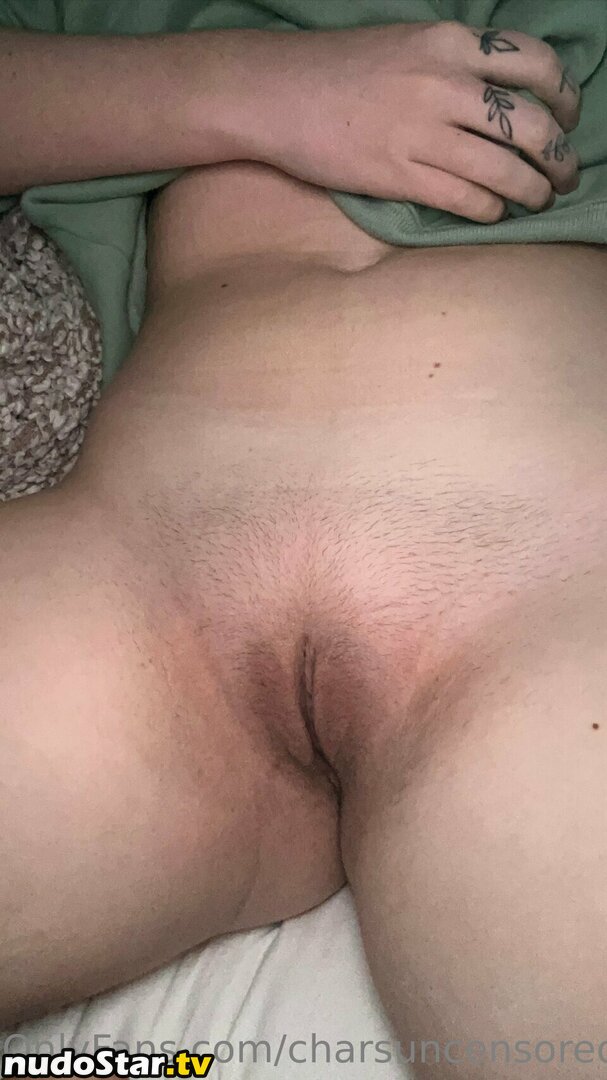 charsuncensored Nude OnlyFans Leaked Photo #3