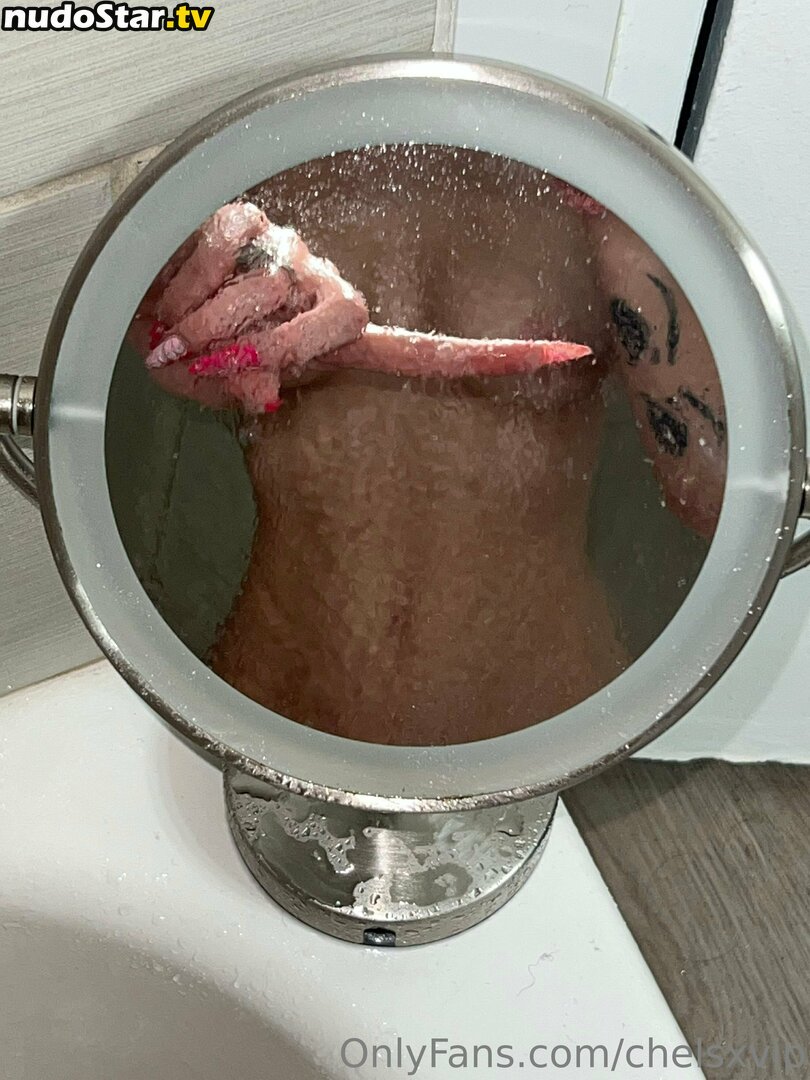 chelsxvip Nude OnlyFans Leaked Photo #6