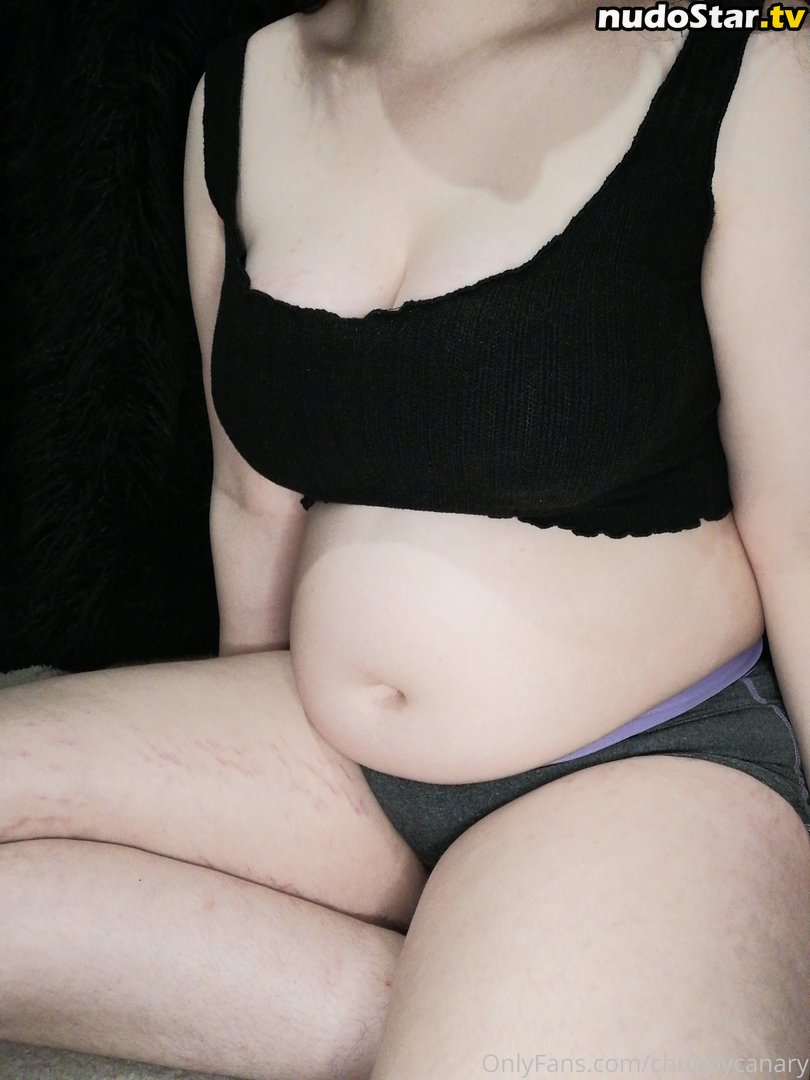 chubby_canary / chubbycanary Nude OnlyFans Leaked Photo #10