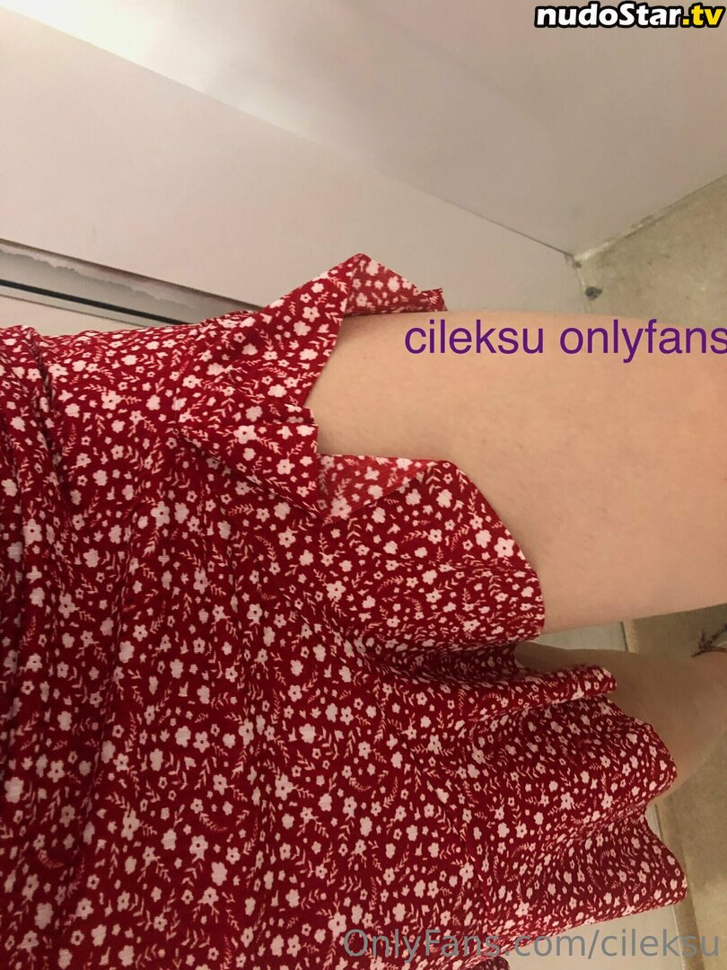 cile_ksu / cileksu Nude OnlyFans Leaked Photo #8