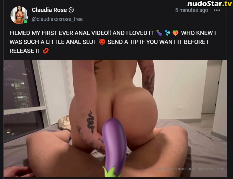 Claudia Rose / Claudiaxxxrose_vip / claudiarose.backup Nude OnlyFans Leaked Photo #18