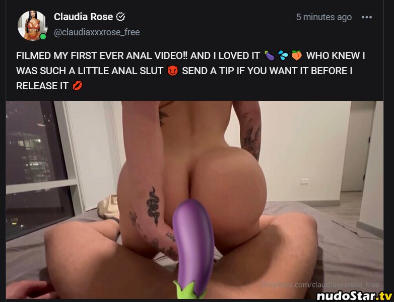 Claudia Rose / Claudiaxxxrose_vip / claudiarose.backup Nude OnlyFans Leaked Photo #22