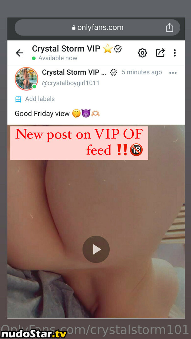 Crystal Storm / crystalboygirl1011 / crystalstorm101 Nude OnlyFans Leaked Photo #105