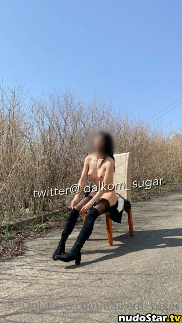 Dalkom_sugar / dalcom.pe.kr / slslhee Nude OnlyFans Leaked Photo #16