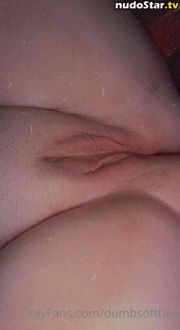 dumbsofttiee Nude OnlyFans Leaked Photo #12