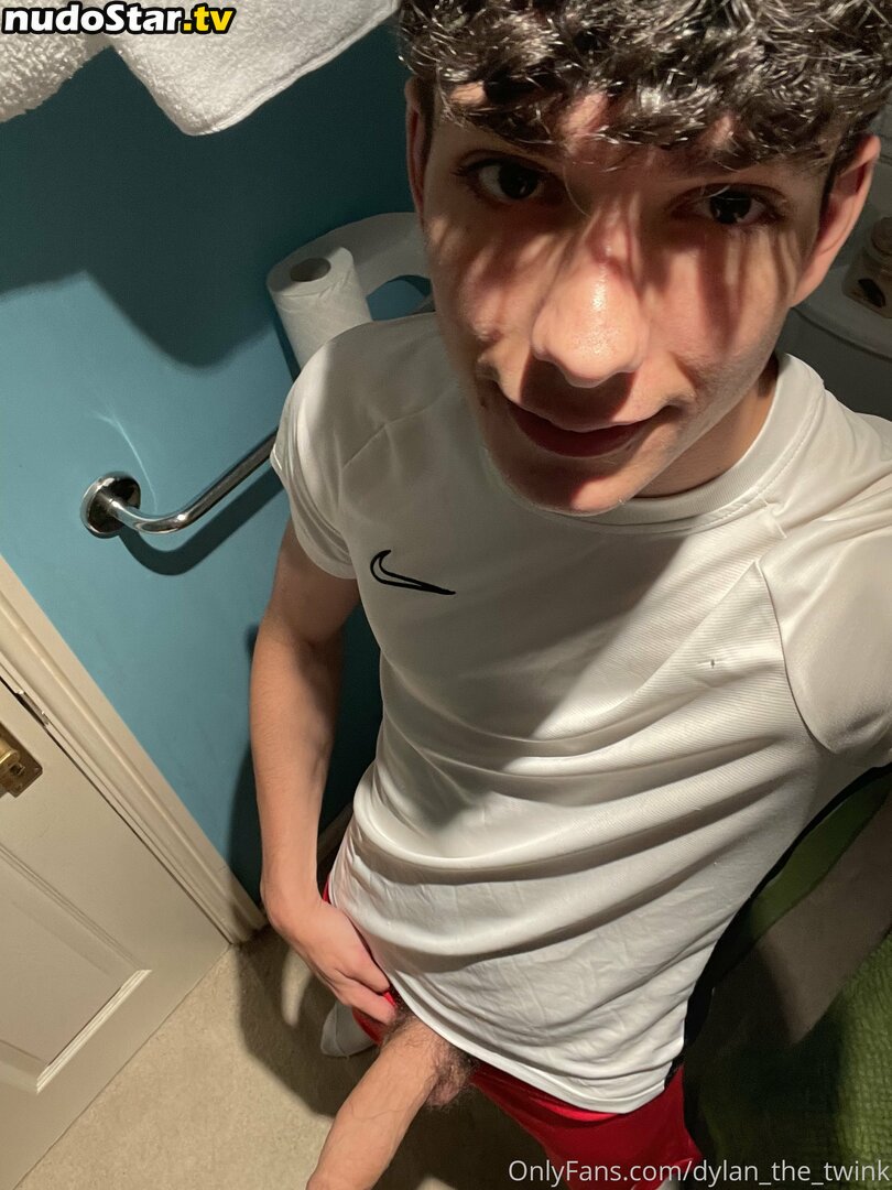 dylan_the_twink / dylantheblank Nude OnlyFans Leaked Photo #14