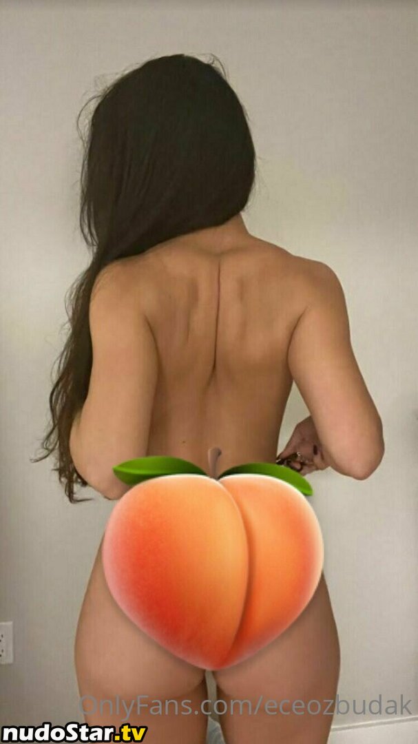 eceozbudak Nude OnlyFans Leaked Photo #8