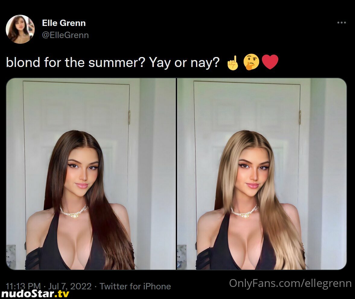 Ellegrenn Nude OnlyFans Leaked Photo #7