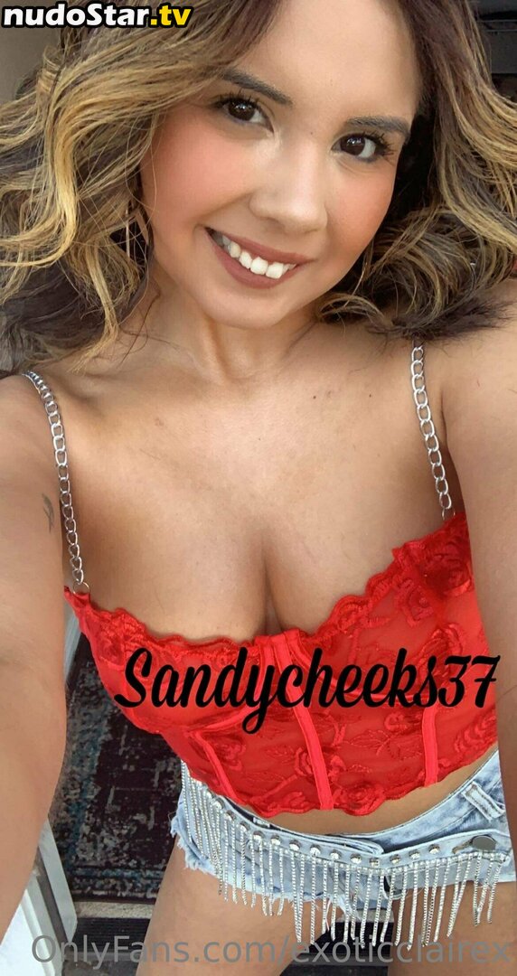 exoticclairex Nude OnlyFans Leaked Photo #20
