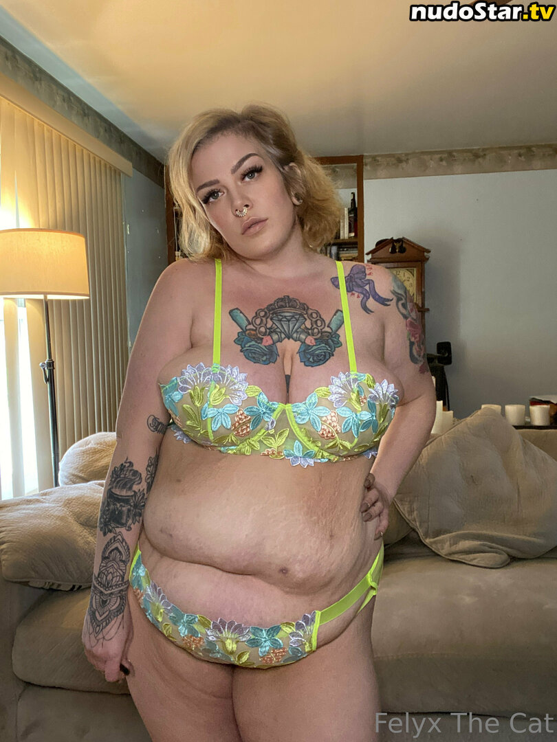 felyxfox / felyxfree Nude OnlyFans Leaked Photo #60
