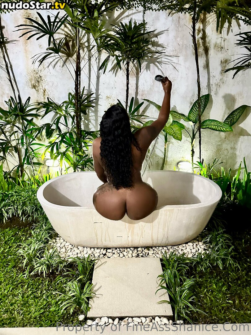 fineassshanice Nude OnlyFans Leaked Photo #30