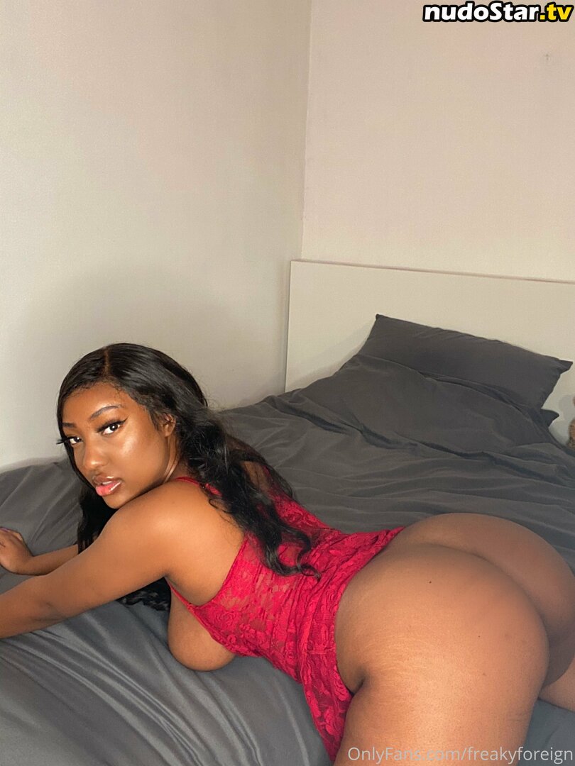 freakyforeign Nude OnlyFans Leaked Photo #24