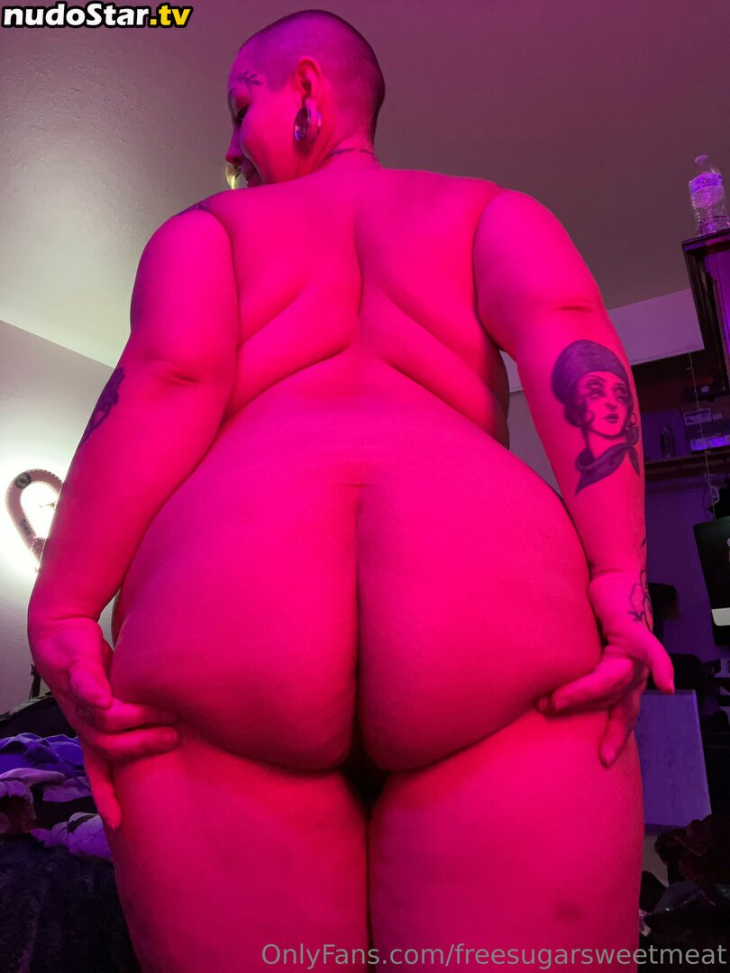 freesugarsweetmeat Nude OnlyFans Leaked Photo #55