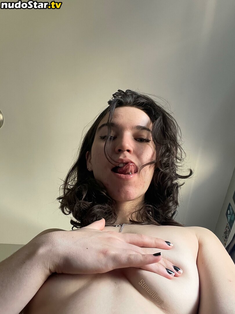 GeneralExplanation44 / nayladances_official / stoneddove Nude OnlyFans Leaked Photo #3