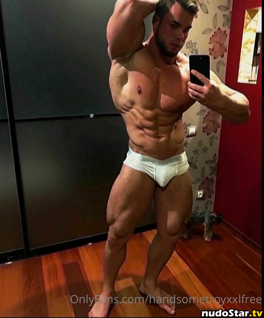 handsometroyxxlfree Nude OnlyFans Leaked Photo #5