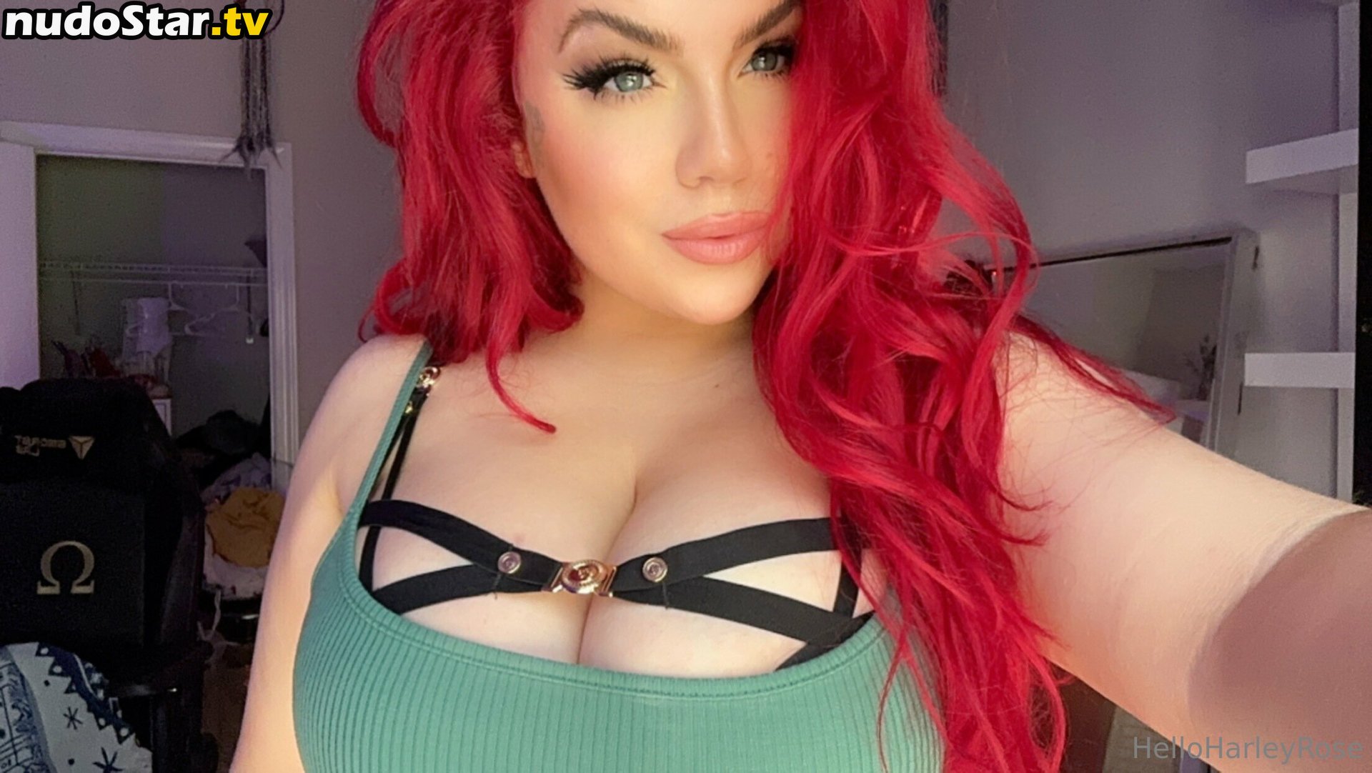 Harley Rose / harleyrose666 / hello.harleyrose / helloharleyrose Nude OnlyFans Leaked Photo #187