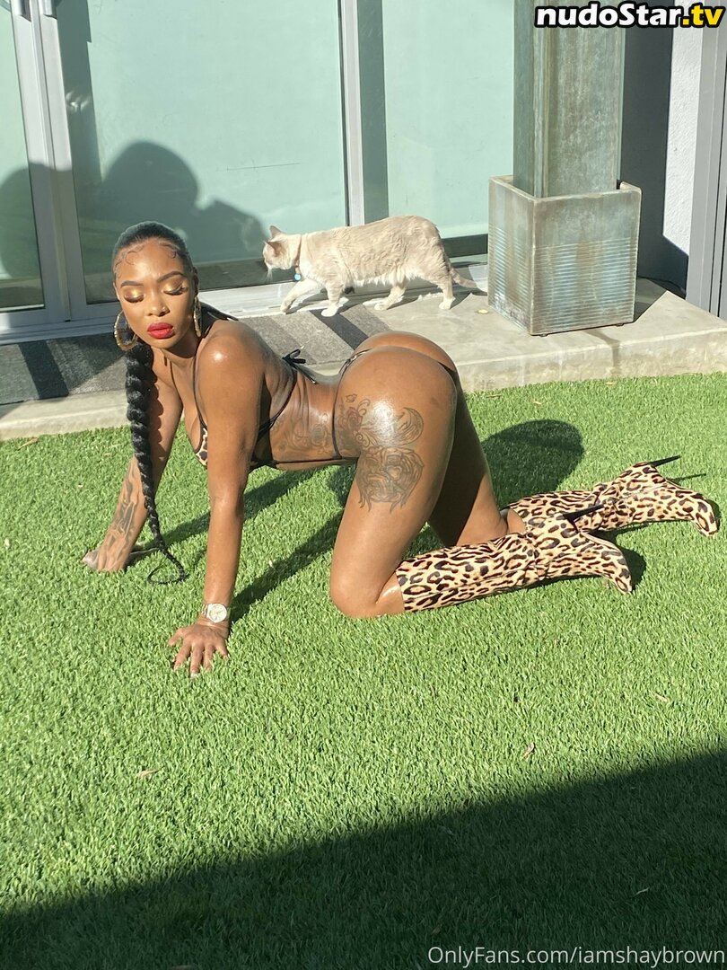 Iamshaybrown Nude OnlyFans Leaked Photo #50