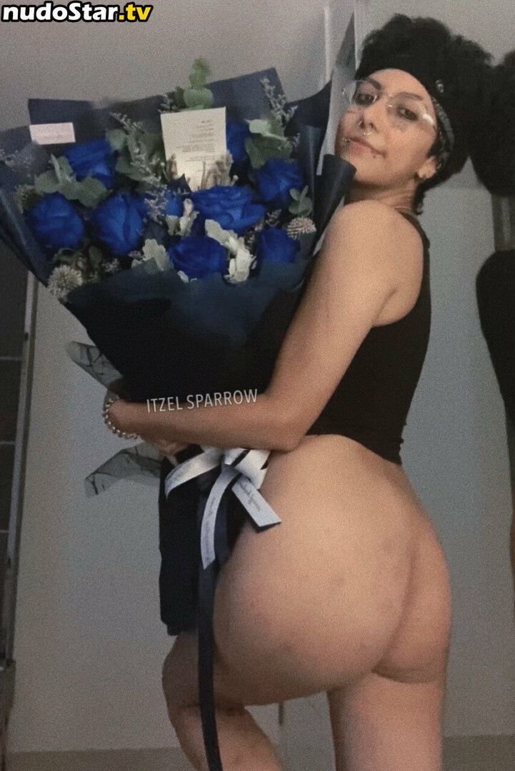 itzel2002 / itzelsparrow02 Nude OnlyFans Leaked Photo #67