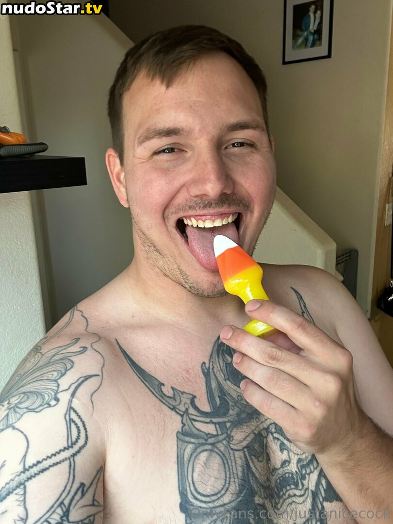 justanicecock Nude OnlyFans Leaked Photo #6